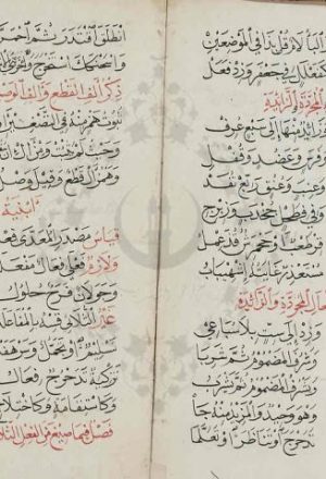 مخطوطة - ألفية العربية - شعبان الآثاري
