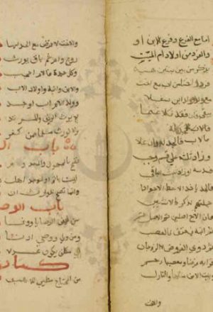 مخطوطة - ألفية صفوة الزبد لابن رسلان الشافعي  - نسخة 01