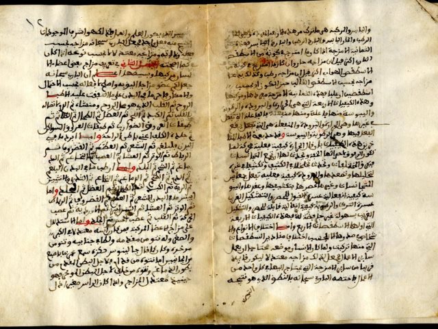 مخطوطة - المختصر الفارسي في علم الطب - ج1 - الصقلي - 1-610