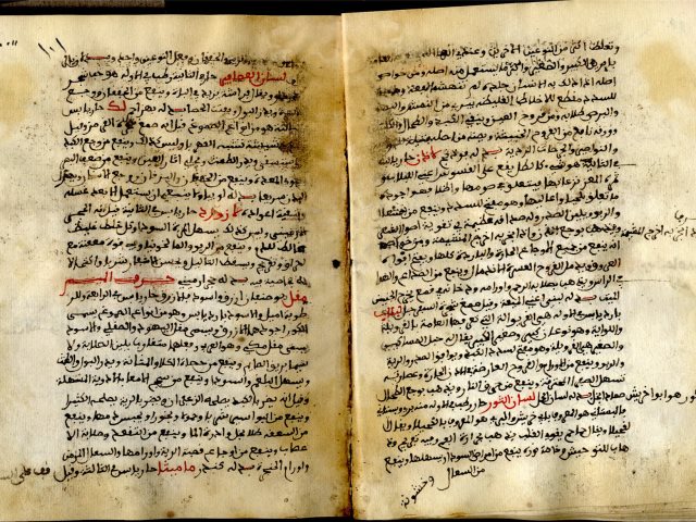 مخطوطة - المختصر الفارسي في علم الطب - ج1 - الصقلي
