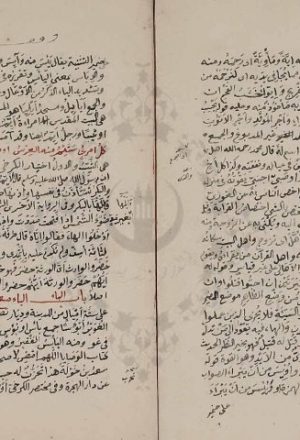 مخطوطة - المغرب فى ترتيب المعرب  للمطرزى
