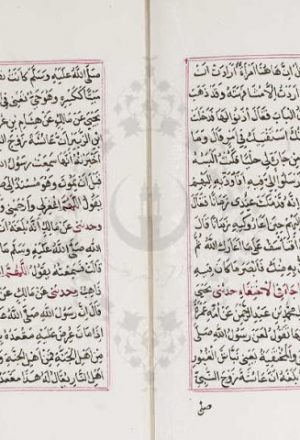 مخطوطة - الموطأ للإمام مالك بن أنس -- نسخة 02