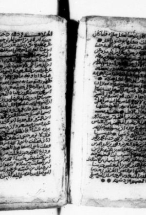 مخطوطة - الناسخ و النسوخ طه