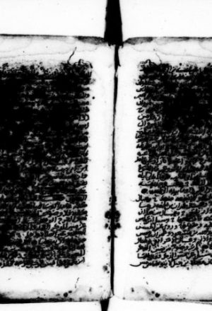مخطوطة - الناسخ و النسوخ