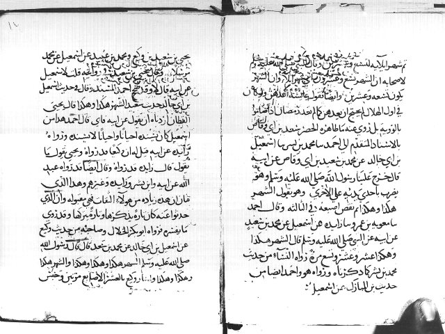 مخطوطة - الهلال -لمحمد ابن تيمية
