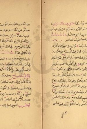 مخطوطة - الوصف الذميم فى فعل اللئيم لمحمد بن علي الأنصاري