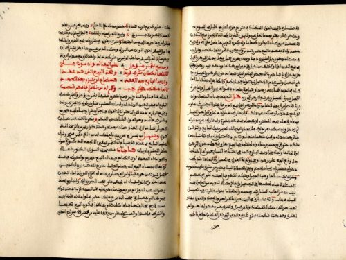مخطوطة - بستان فكر المهج ذيل وتكميل المنهج إلى أصول المذهب المبرج