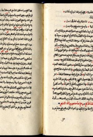 مخطوطة - بلوغ الأماني في شرح قصيدة الدماميني - الزركشي - 99-80 (3)ـ