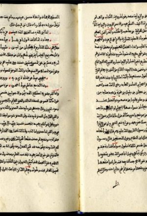 مخطوطة - بلوغ الأماني في شرح قصيدة الدماميني - الزركشي