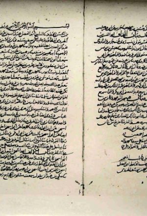 مخطوطة - بيان خطا أبي عبد الله البخاري في تاريخه