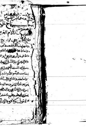 مخطوطة - تاج علوم الأدب وقانون كلام العرب