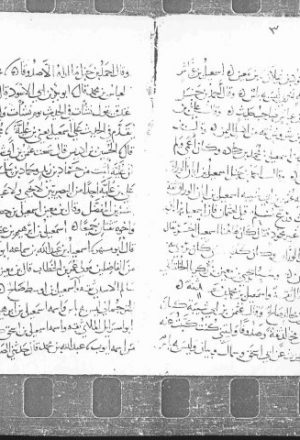 مخطوطة - تاريخ أسماء الثقات ممن نقل عنهم العلم -ابن شاهين