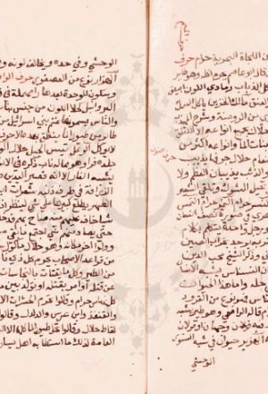 مخطوطة - تجريد ديوان الحيوان للأرميوني
