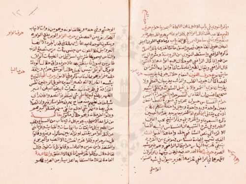مخطوطة - تجريد ديوان الحيوان للأرميوني