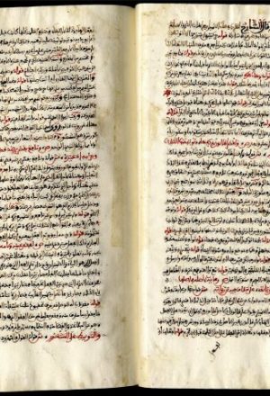 مخطوطة - تحصيل المنافع من كتاب الدرر اللوامع في أصل مقر الإمام نافع - السملالي