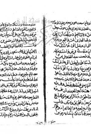 مخطوطة - تحفة الاخباري بترجمة البخاري - ابن ناصر الدين