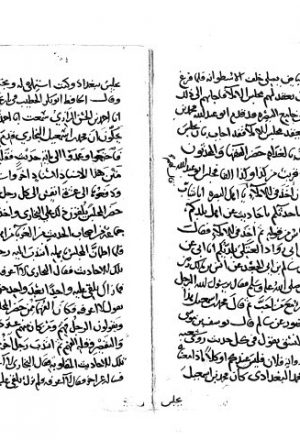 مخطوطة - تحفة الإخباري بترجمة البخاري لابن ناصر الدين