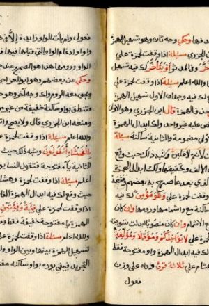 مخطوطة - تحفة الأنام في الوقف على الهمز لحمزة و هشام - أبن القاصح - 117-8