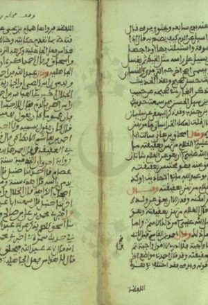 مخطوطة - تحفة المودود باحكام المولود  --313760