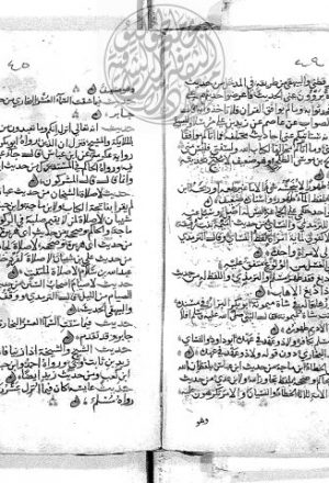 مخطوطة - تخريج الأحاديث والآثار الواقعة في منهاج البيضاوي لزين الدين العراقي