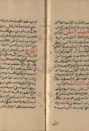 مخطوطة - تخريج الأربعين حديثا في اصطناع المعروف للسلمي