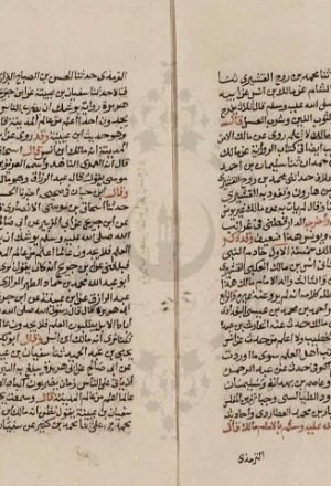 مخطوطة - تزيين الممالك بمناقب الإمام مالك للسيوطي