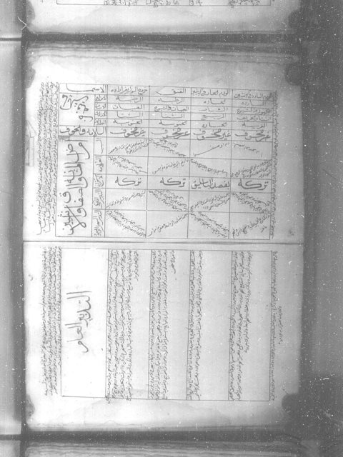 مخطوطة - تقويم الأبدان في تدبير الإنسان - نسخة 3