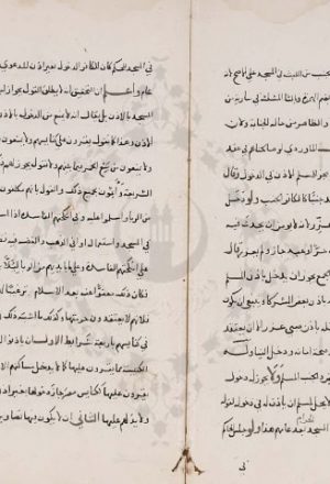 مخطوطة - تلخيص تسهيل المقاصد لزوار المساجد لابن ابي شريف
