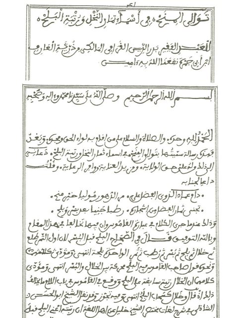 مخطوطة - تـوالي المِنَـح في أسـماء ثـمار النخل ورُتبة الـبلح ) بدر الدين القرافي-توالي المنح في أسماء ثمار النخل ورتبة البلح