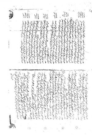 مخطوطة - الأفراد للدارقطني - 83