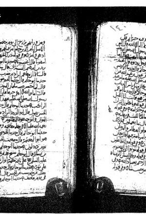 مخطوطة - جزء  من كتاب الزهد عن أبي حاتم محمد بن ادريس بن المنذر الحنظلي