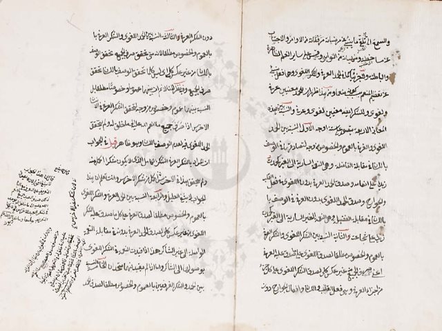 مخطوطة - حاشية التالجى على شرح حسن الكانى    325845