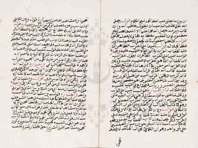 مخطوطة - حاشية الجوينى على شرح محمد الحنفى على الرسالة العضدية  316327