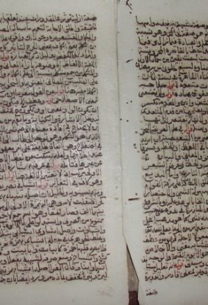 مخطوطة - حاشية على شرح الأزهرية لشهاب الدين القليوبي