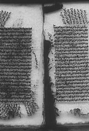 مخطوطة - حواش على شرح عصام الدين إبراهيم للسمرقندية في الاستعارات