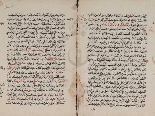 مخطوطة - داعى الهدى بشرح منظومة الشهداء للرشيدي المغربي