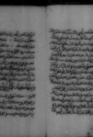 مخطوطة - دلائل النبوة لأبي نعيم  ج6