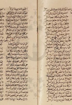 مخطوطة - ديوان الوزير محمد بن عبد الملك الزيات