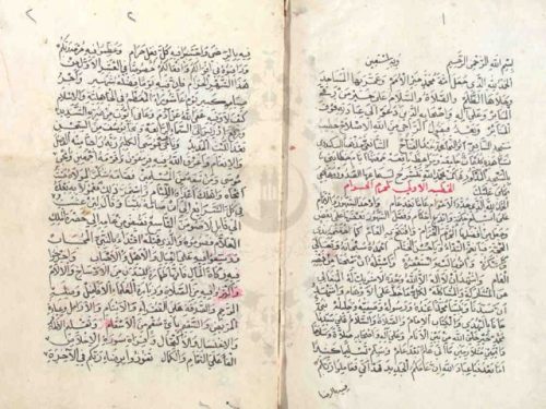 مخطوطة - ديوان خطب منبرية أو خطب أبو النجا  --307196