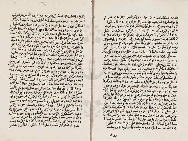 مخطوطة - رسالة تقى الدين السبكى - ضمنها اجابته على سؤال ورد اليه فى معنى الاحاديث الواردة فى اطفال