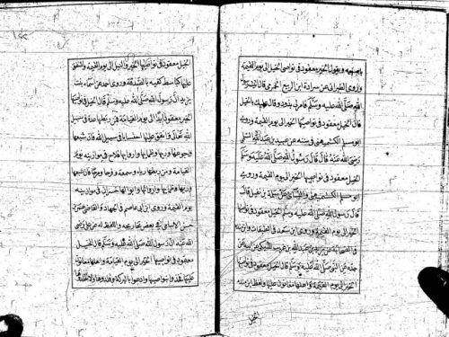 مخطوطة - رسالة فى سياسة الخيل للشامى