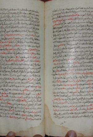 مخطوطة - رسالة في اللغة للأزهري الرقم 68