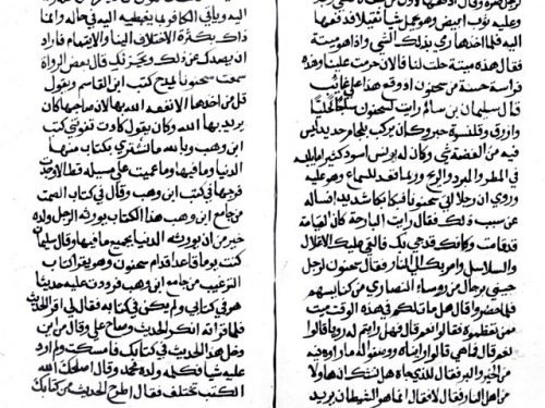 مخطوطة - رقم 25مختصر رياض النفوس في طبقات علماء مدينة القيروان تاريخ