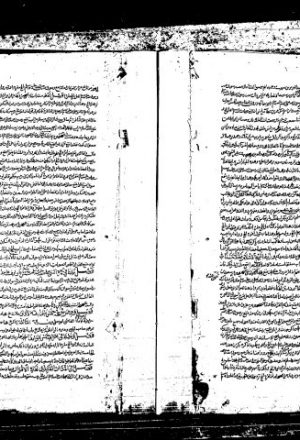 مخطوطة - زاد المعاد - نسخة مكتبة خدابخش ، وهي نسخة نفيسة