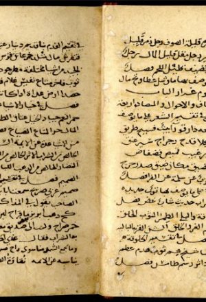 مخطوطة - سر الأدب في مجاري كلام العرب