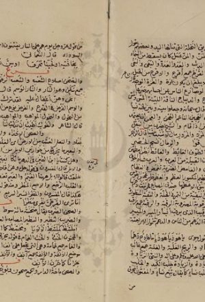 مخطوطة - شجر الدر فى متداخل اللغة بالمعانى المختلفة  --315913