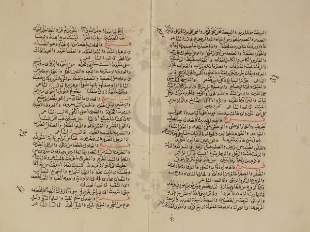 مخطوطة - شجر الدر فى متداخل اللغة بالمعانى المختلفة  لأبي الطيب اللغوي