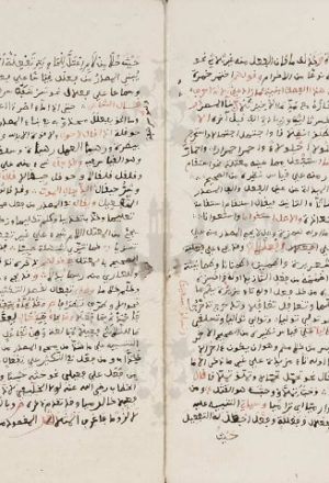 مخطوطة - شرح ابن الناظم على لامية ابن مالك  --334006