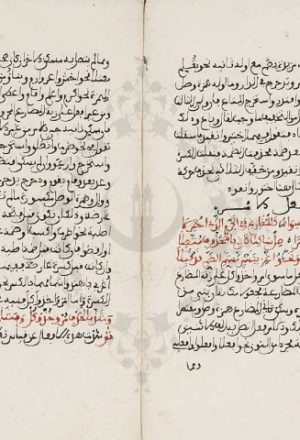 مخطوطة - شرح ابن الناظم على لامية ابن مالك333879