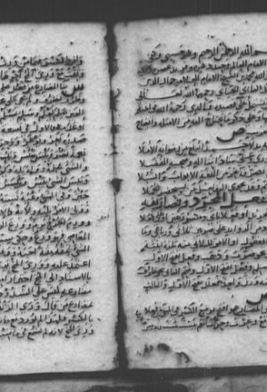 مخطوطة - شرح ابن الناظم للألفية